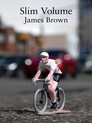 cover image of Slim Volume